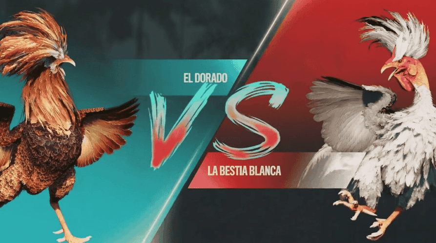888pg Plataforma Slots Esports